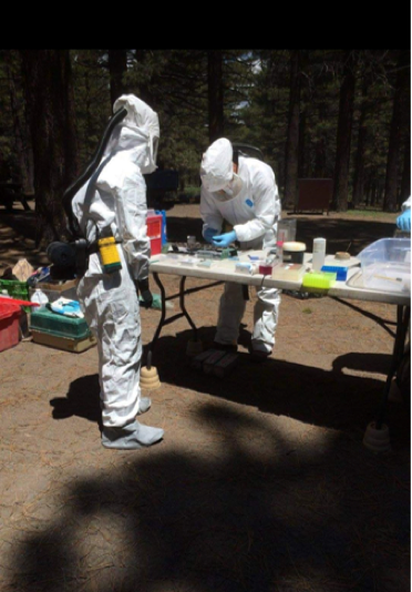 hazmat workers leaning over table with specimens